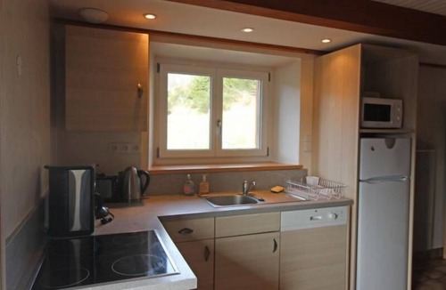 Saulxures-sur-Moselotte Cottage | Renovated mountain lodge with wood stove - Saulxures-sur-Moselotte