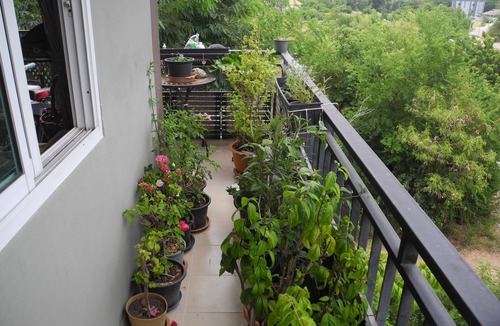 Nong Prue Apartment | Rent a rural condo in Thailand near the Ocean