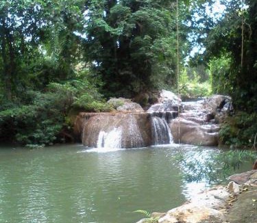 Wang Katha Other | Riverhill khaoyai camping เต้นท์โดม