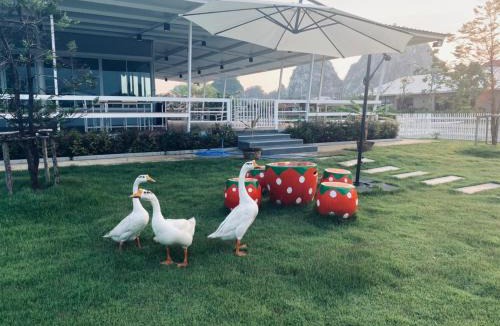 Ratchaburi Hotel | Rock Resort Ratchaburi