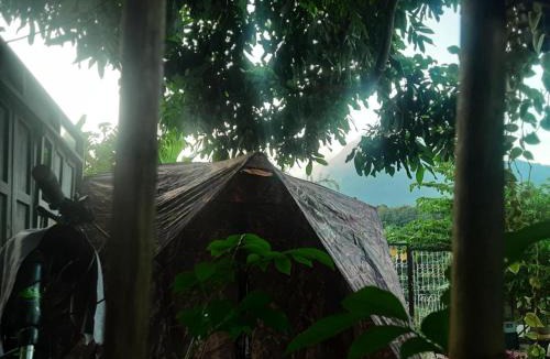 Chiang Dao Other | Samatha Camper