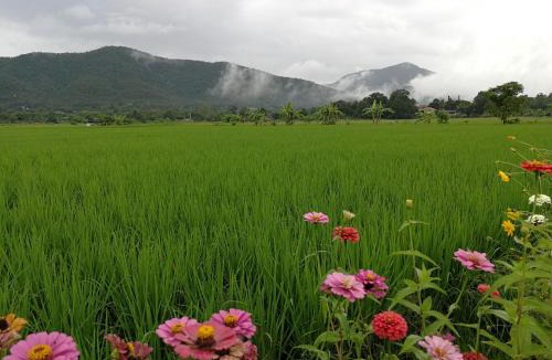 Cho Lae House | Santitham Home Farm Stay