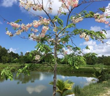 Rayong Resort | Sarocha Resort Rayong