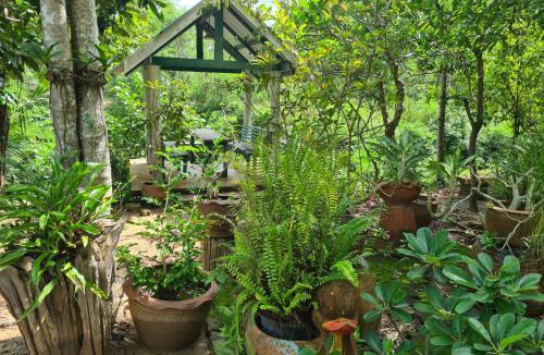 Chakphong Resort | Sawaddee Holland