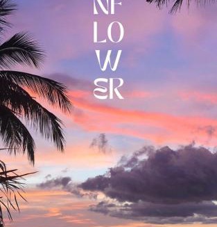 Satun Hotel | Sunflower Guesthouse and Animal Rescue - Koh Lipe