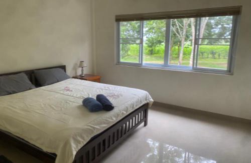 Mae Wong Other | Sunrise Camping Homestay Room 2