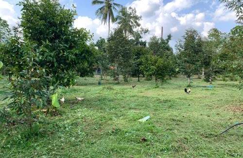 Lan Saka House | Taluangjit Resort&Garden