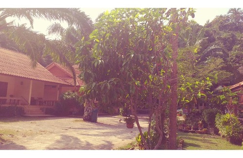 Saphli Hotel | TAWAN RESORT