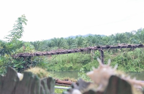 Thoeng Resort | Teak villa