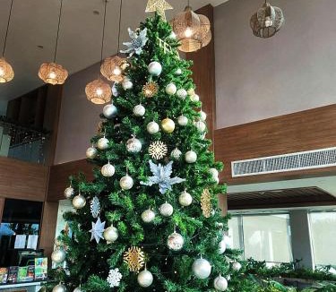 Mae Sai Hotel | TEVA Valley Resort