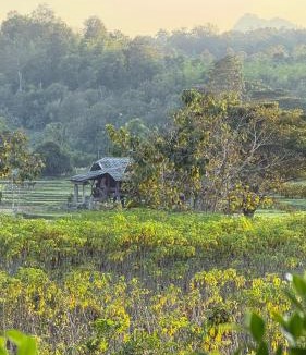 Mueang Pan House | The Little Earth Farm View