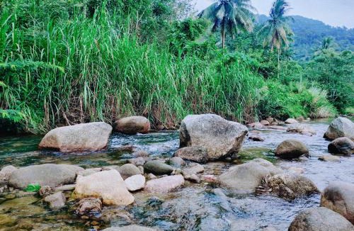 Lan Saka Bed & Breakfast | The Lodge At The Creek Haus
