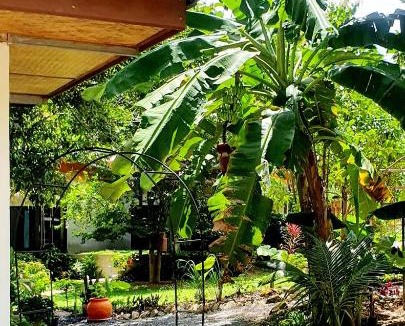 Ko Lanta Apartment | The River Whanau