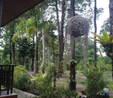 Ko Lanta House | The Sun Long Beach Resort