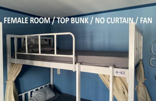 Old City Hostel | VibeCNX