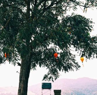 Phop Phra Other | Wisdom Hill Campground