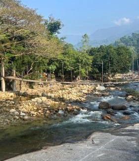 Lan Saka House | WWP HAUS Glamping and stay in Kiriwong คีรีวง