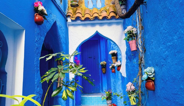 Casa Blue Star