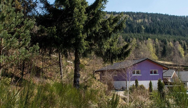 Gite Cornimont, 3 bedrooms, 6 persons