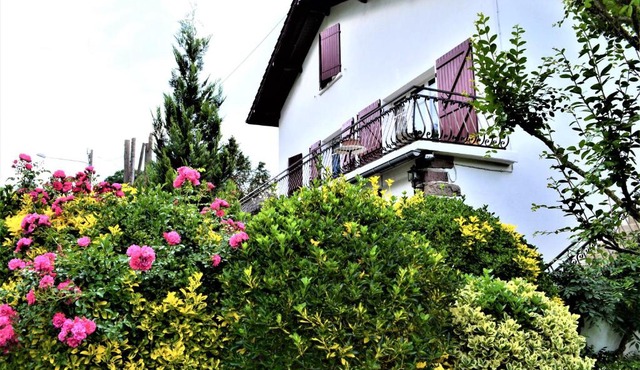 Loretxea