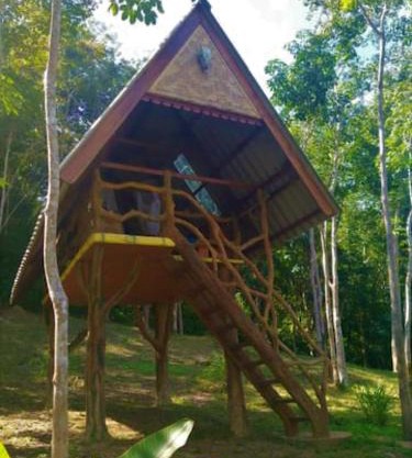 Treehouse Holidays 
