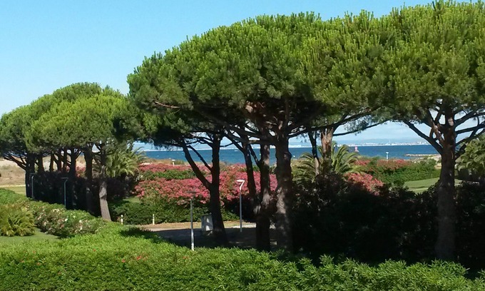 Le Grau-Du-Roi Apartment | 2-room cabin studio with view of the sea in Port-Camargue