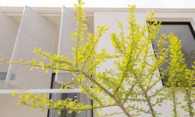 Hat Yai Villa | 216 m² Villa ∙ 2 bedrooms ∙ 4 guests