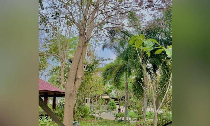 Ban Pong Bed & Breakfast | 25 m² Bed and breakfast ∙ 5 bedrooms ∙ 10 guests