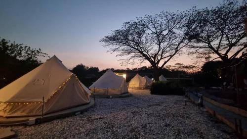 Phaya Yen Other | 28 m² Tent ∙ 6 guests