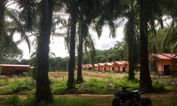 Khlong Sok Resort | 38 m² Resort ∙ 4 guests