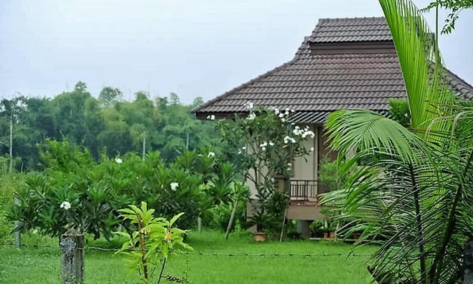 Luang Nuea Bed & Breakfast | Jamjuree Garden