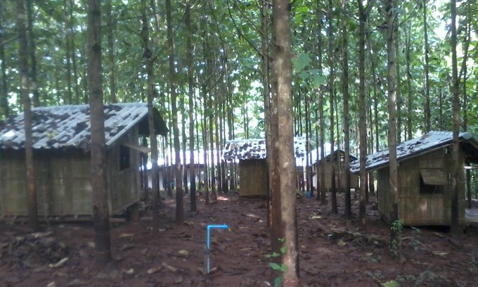 Samoeng Resort | Private room ∙ 1 guest