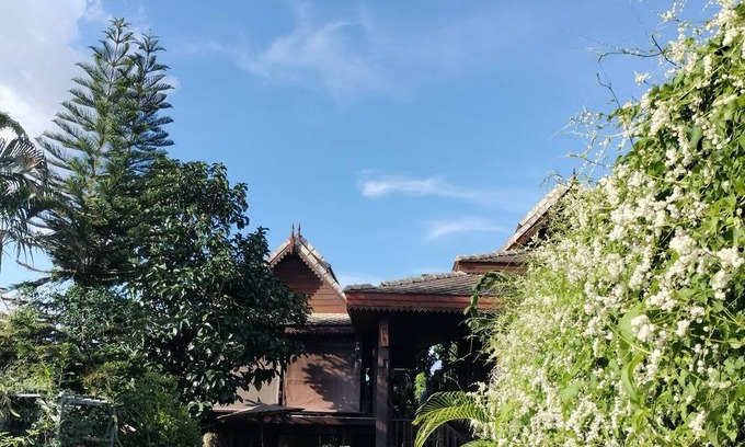 Saraphi Resort | Private room ∙ 2 guests