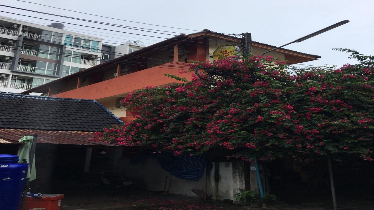 Photo of Buildings in Kata