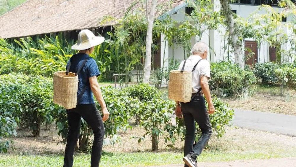 Photo of Human In Picture in Mae Taeng