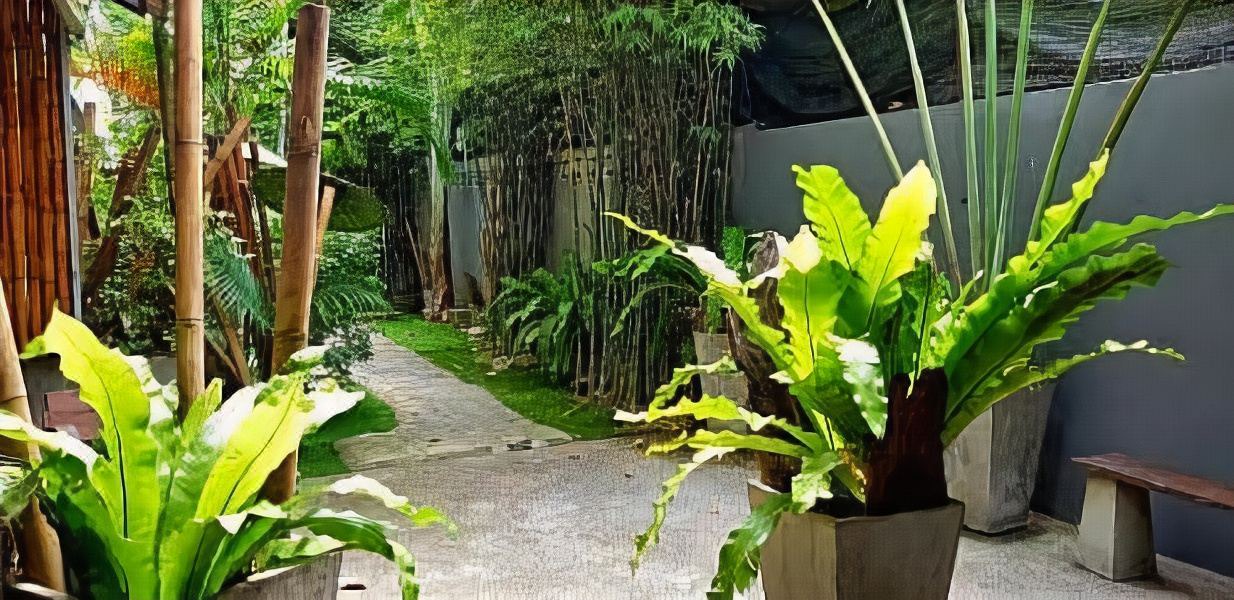 Photo of Others in Koh Tao