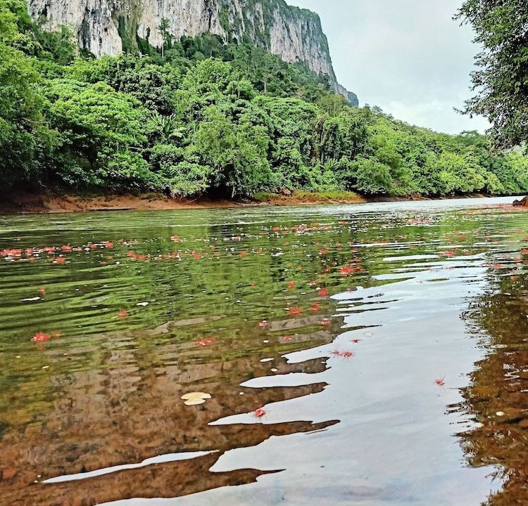 Photo of Outdoor in Ban Ta Khun