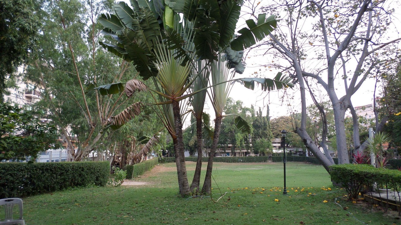 Photo of Outdoor in Pattaya Bay