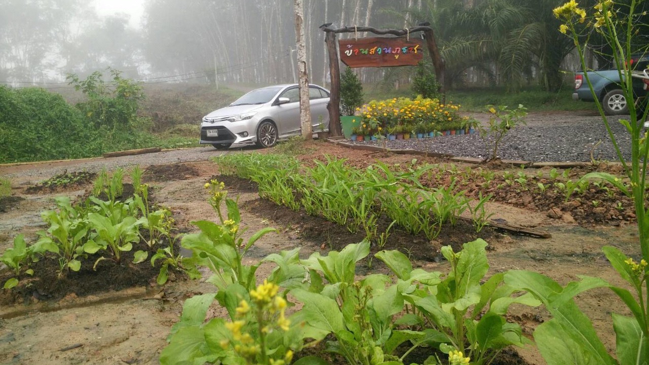 Photo of Others in Ban Ta Khun