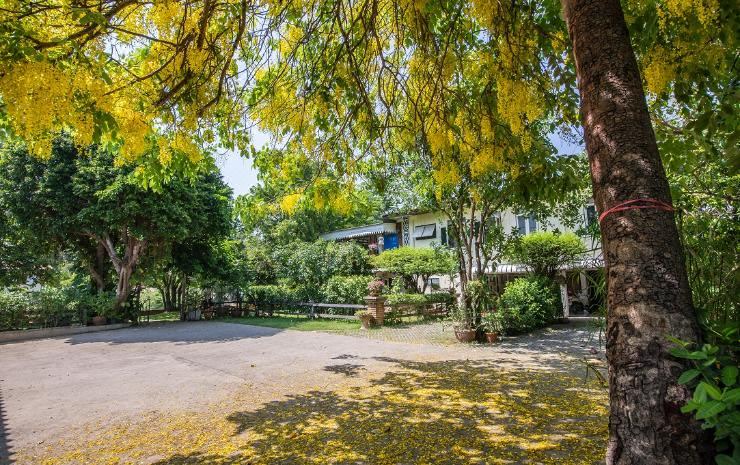 Photo of Outdoor in Phu Khao Thong