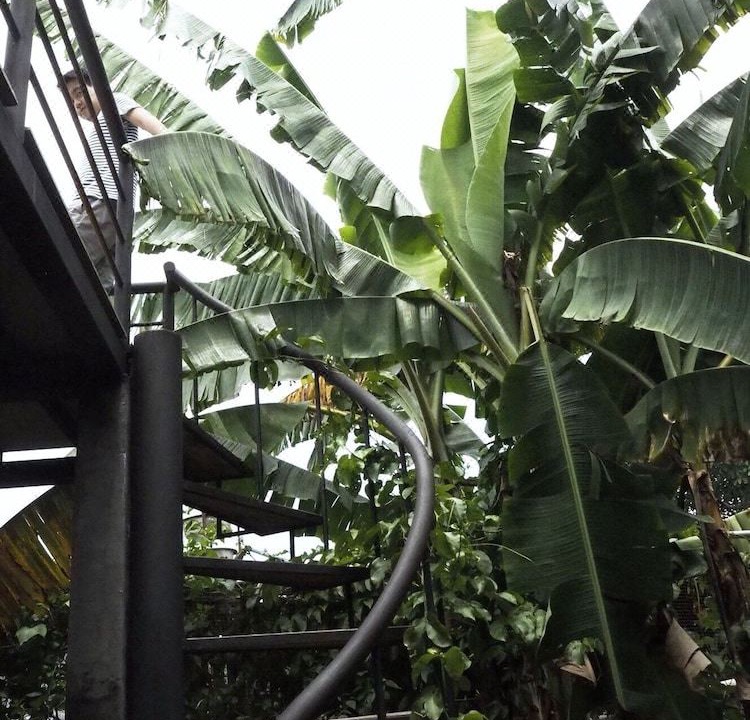 Photo of Others in Mae Taeng