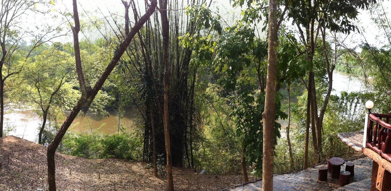 Photo of Patio Balcony in Sai Yok