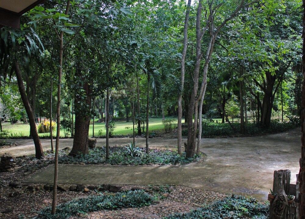 Photo of Outdoor in Kaeng Krachan