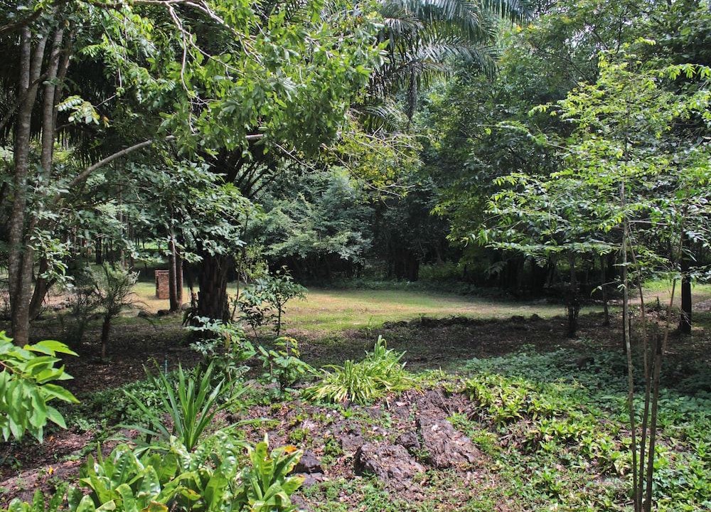 Photo of Outdoor in Kaeng Krachan