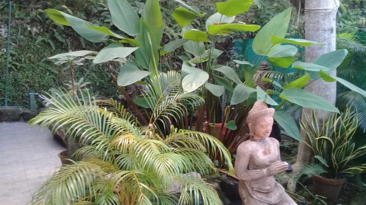 Photo of Others in Ko Chang
