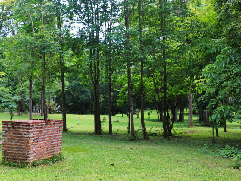 Photo of Outdoor in Kaeng Krachan