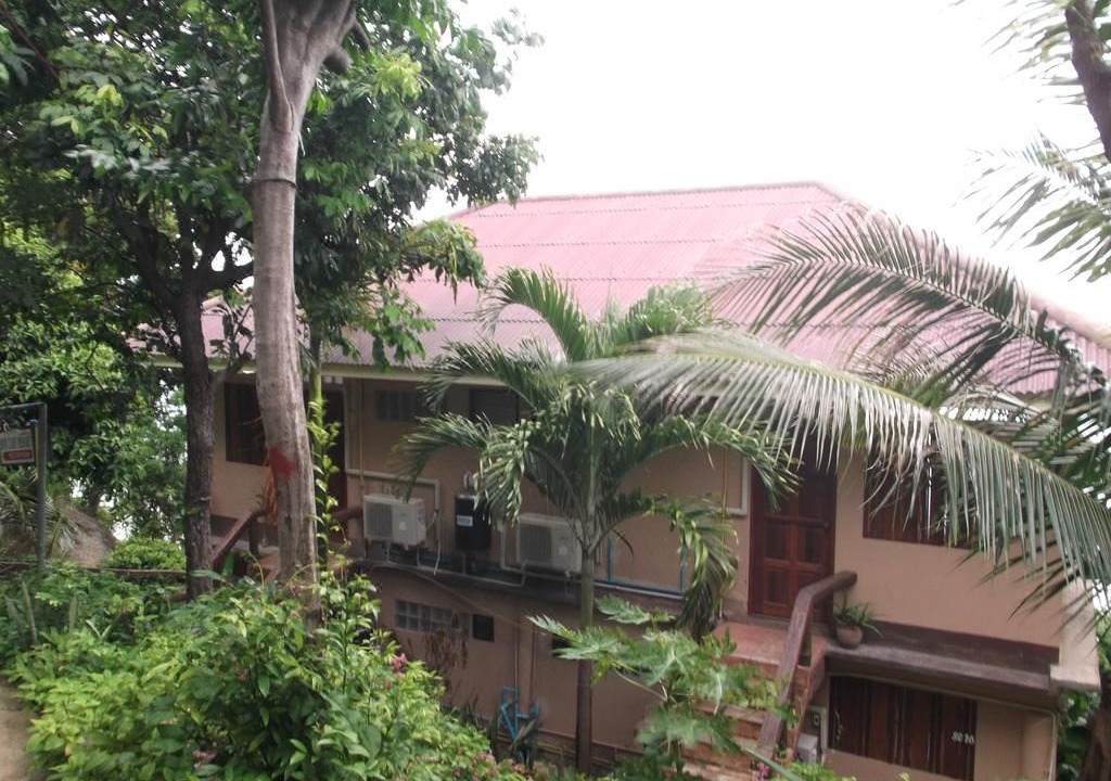 Photo of Buildings in Haad Rin