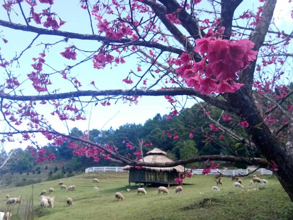 Photo of Others in Hang Dong