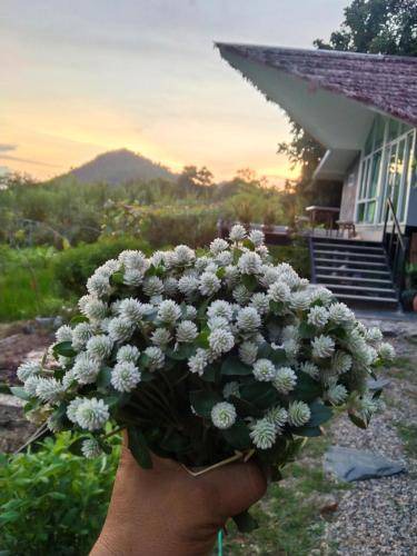 Photo of Outdoor in Ratchaburi