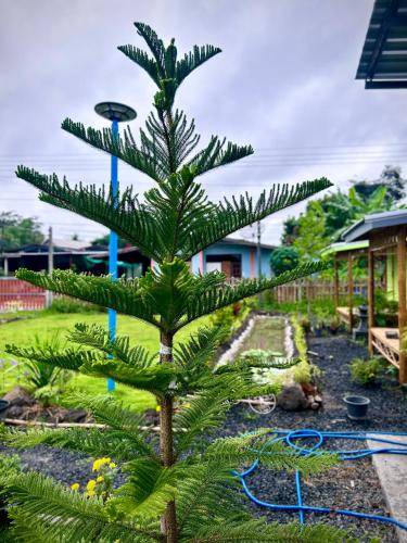 Photo of Outdoor in Buriram